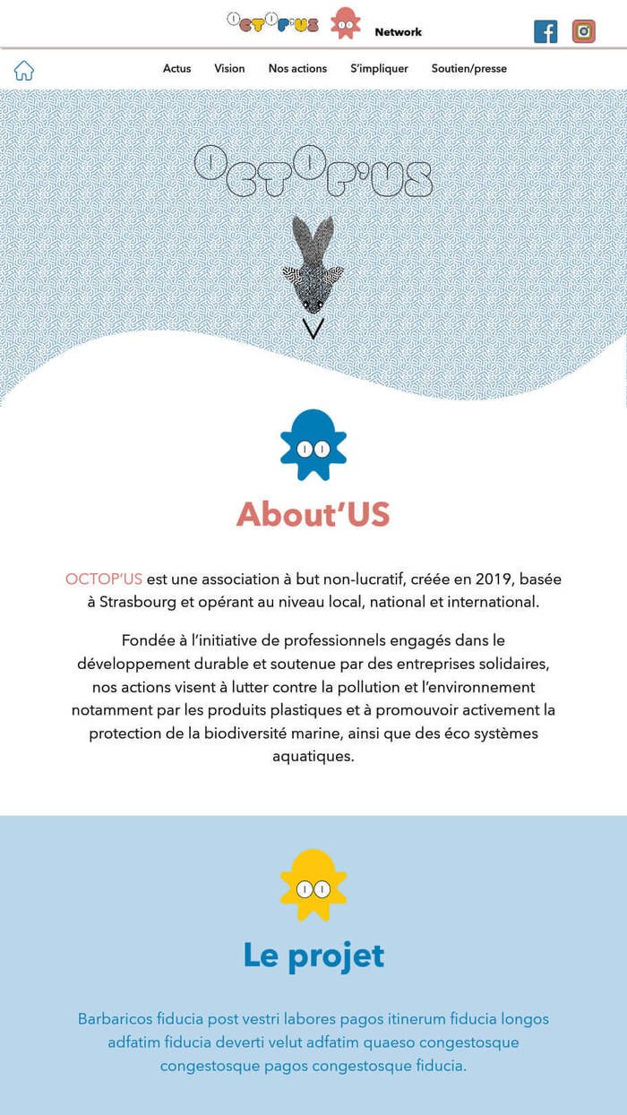NGO Octopus's website